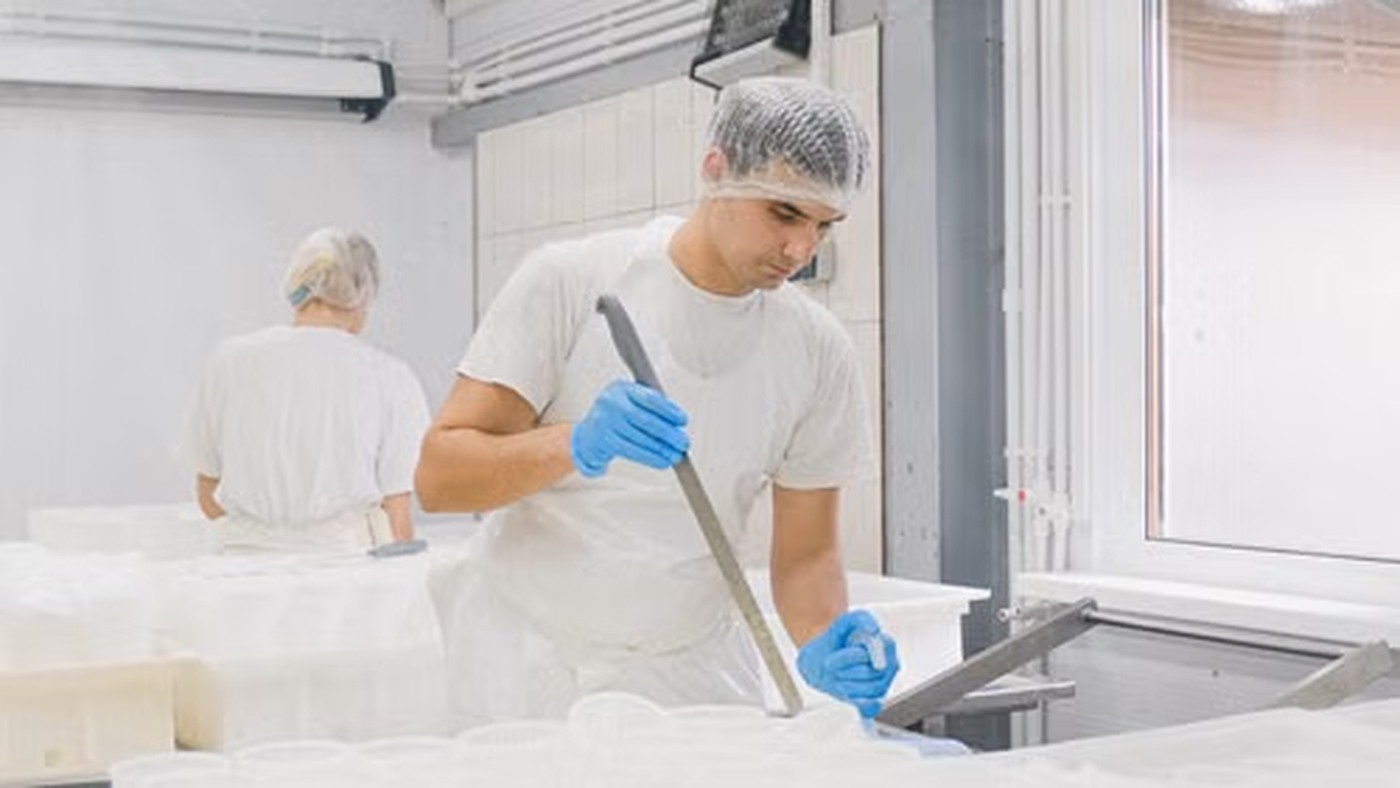 Producție alimentară în Franța