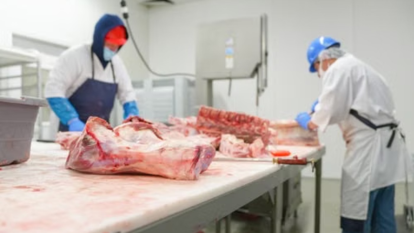 Fabrică de carne în Ungaria